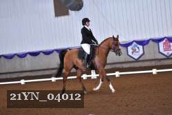 21YN_04012 thumbnail