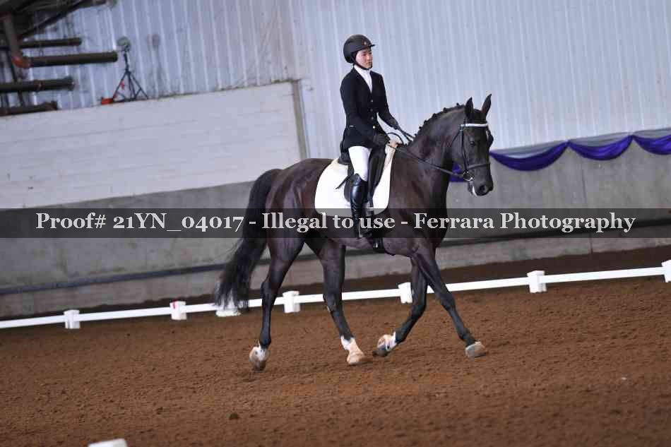 Proof Number 21YN_04017