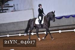 21YN_04017 thumbnail