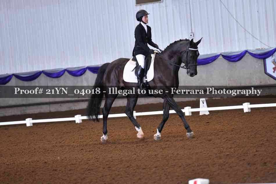 Proof Number 21YN_04018