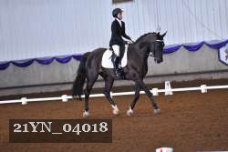 21YN_04018 thumbnail