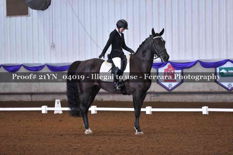 Proof Number 21YN_04019