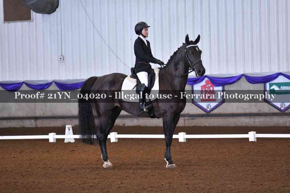 Proof Number 21YN_04020