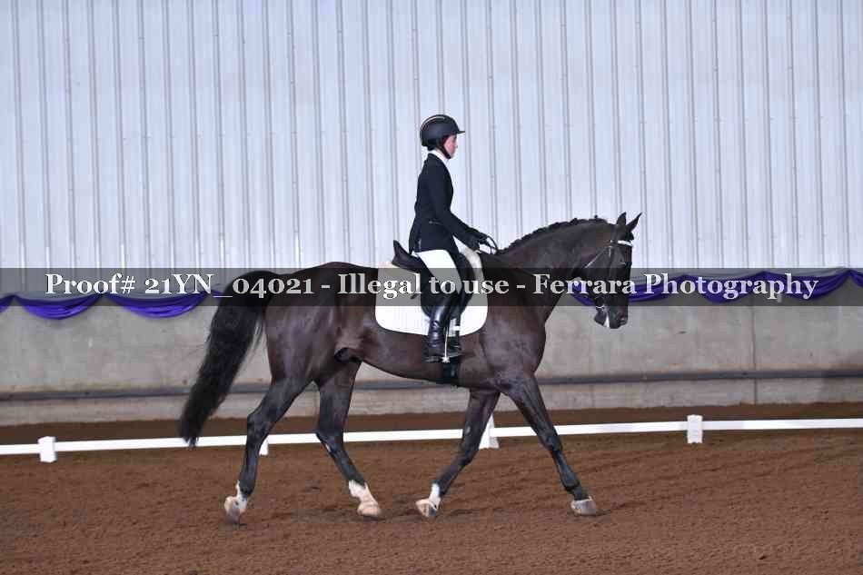 Proof Number 21YN_04021