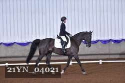 21YN_04021 thumbnail