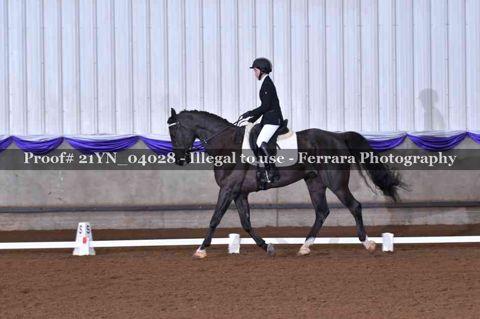 Proof Number 21YN_04028