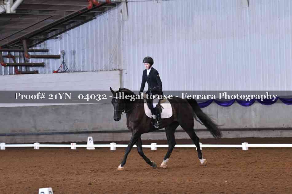Proof Number 21YN_04032