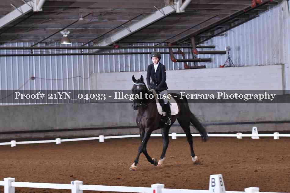 Proof Number 21YN_04033