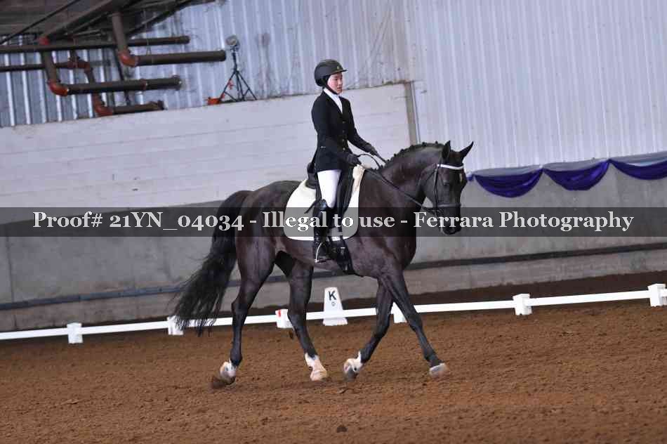 Proof Number 21YN_04034