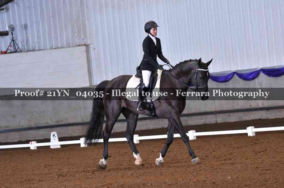 Proof Number 21YN_04035