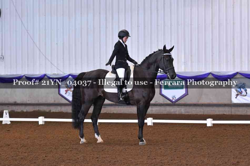 Proof Number 21YN_04037