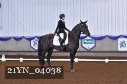 21YN_04038 thumbnail