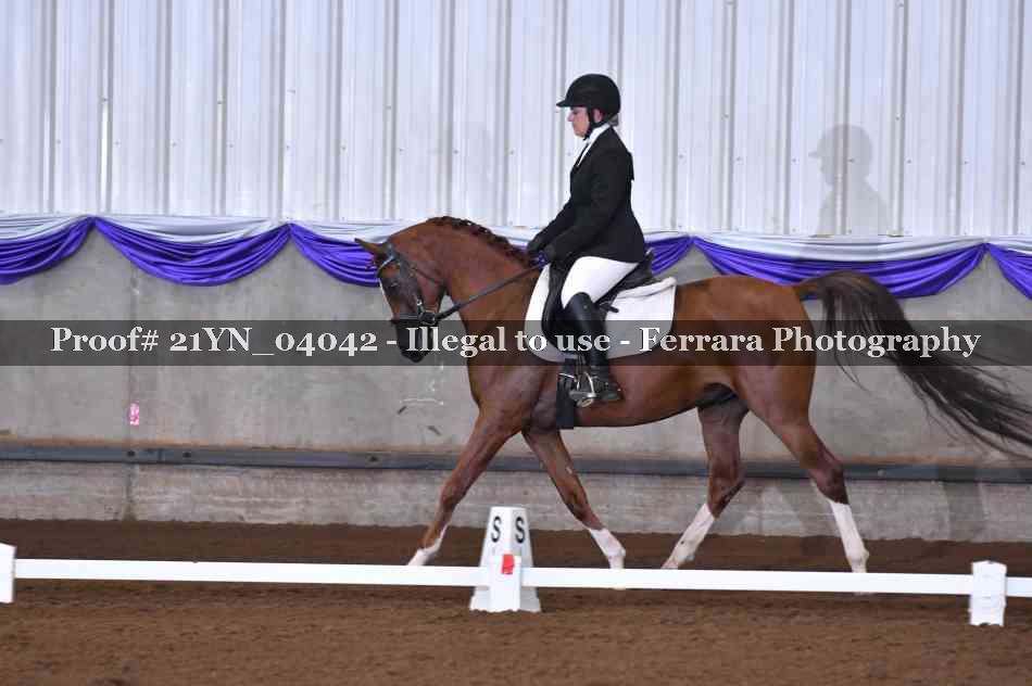 Proof Number 21YN_04042