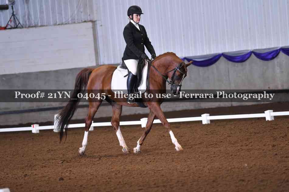 Proof Number 21YN_04045