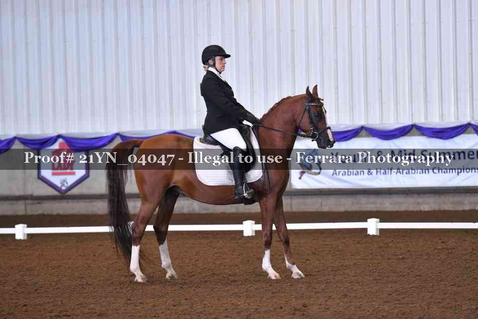 Proof Number 21YN_04047