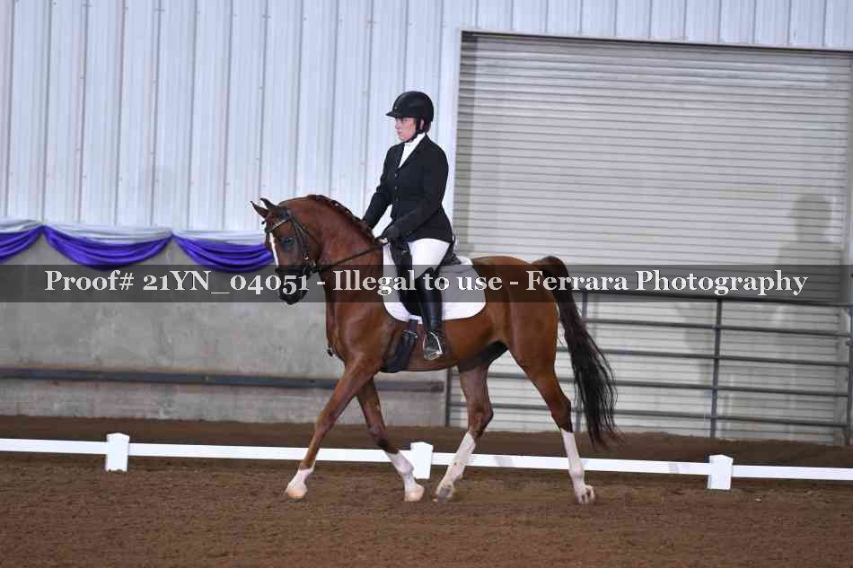 Proof Number 21YN_04051