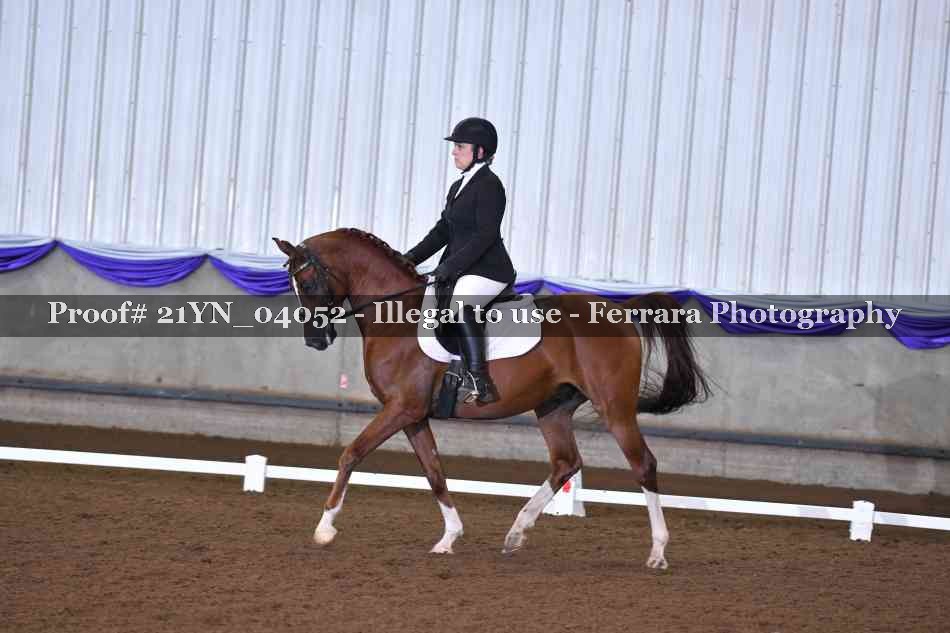 Proof Number 21YN_04052
