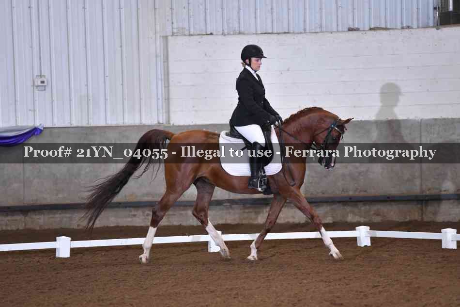 Proof Number 21YN_04055