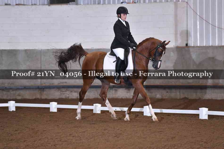 Proof Number 21YN_04056