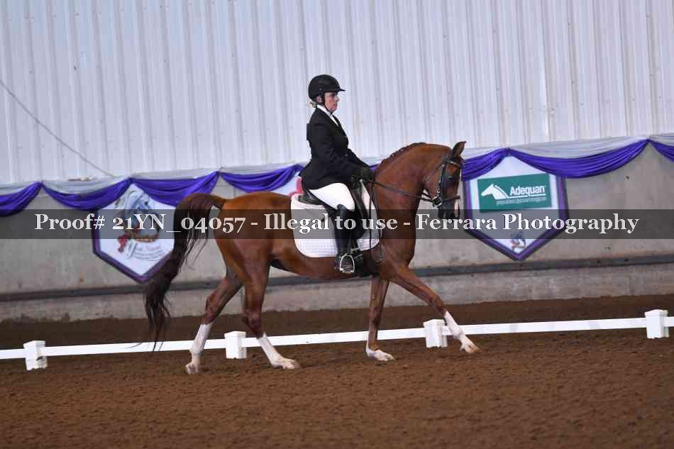 Proof Number 21YN_04057