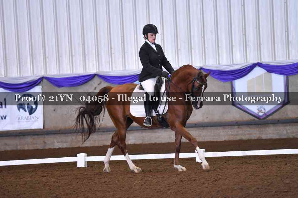 Proof Number 21YN_04058