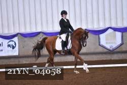 21YN_04058 thumbnail