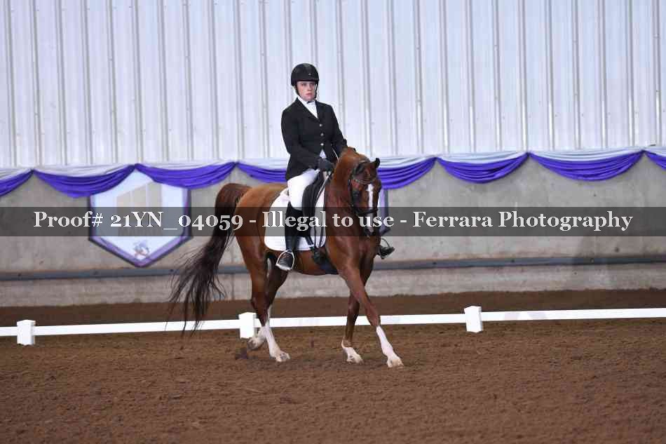 Proof Number 21YN_04059