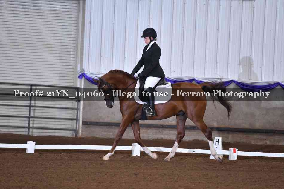 Proof Number 21YN_04060