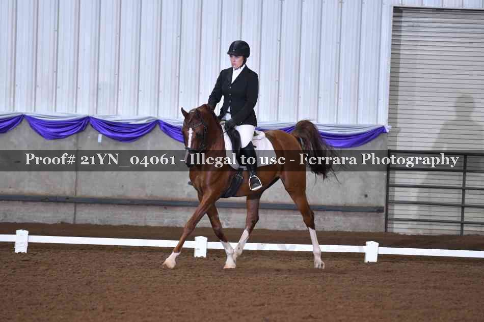 Proof Number 21YN_04061
