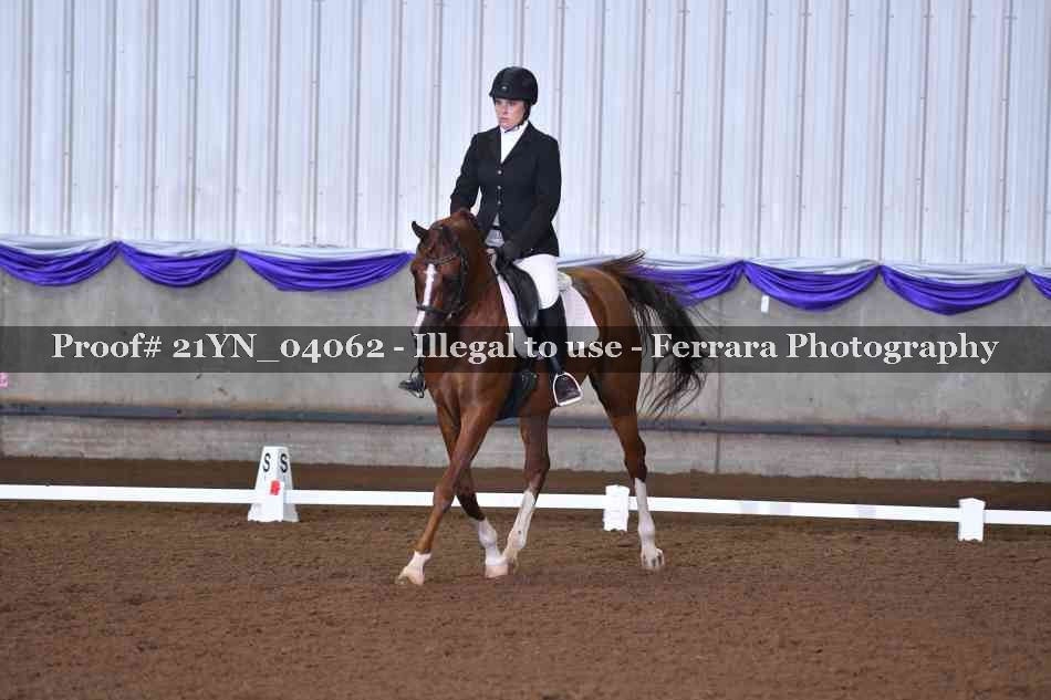 Proof Number 21YN_04062