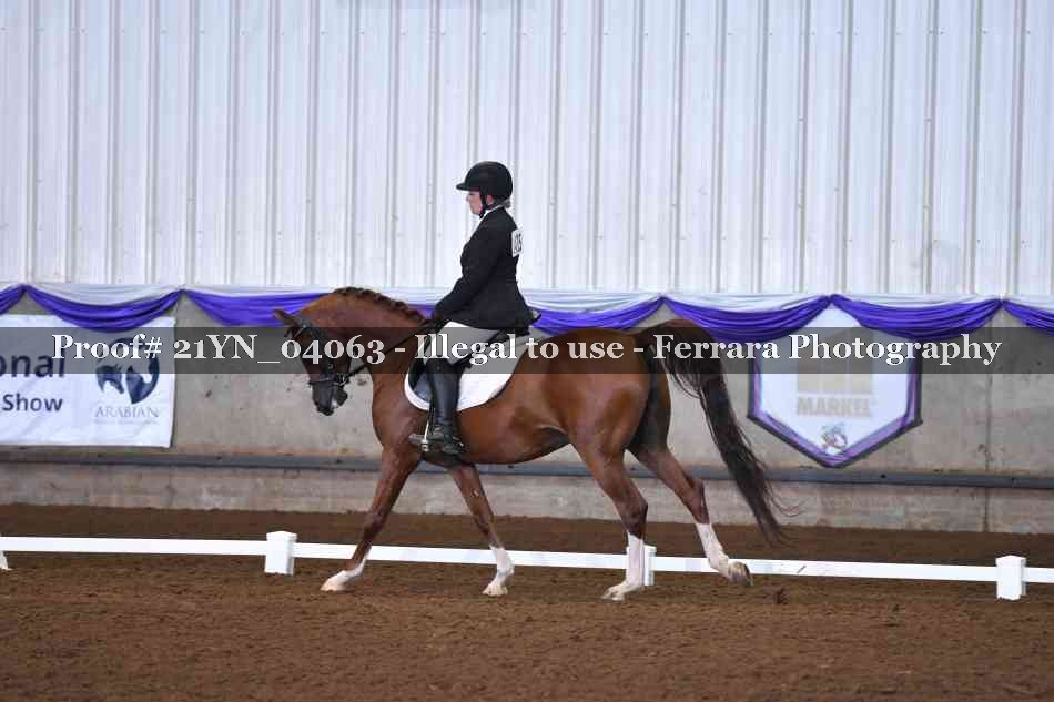Proof Number 21YN_04063