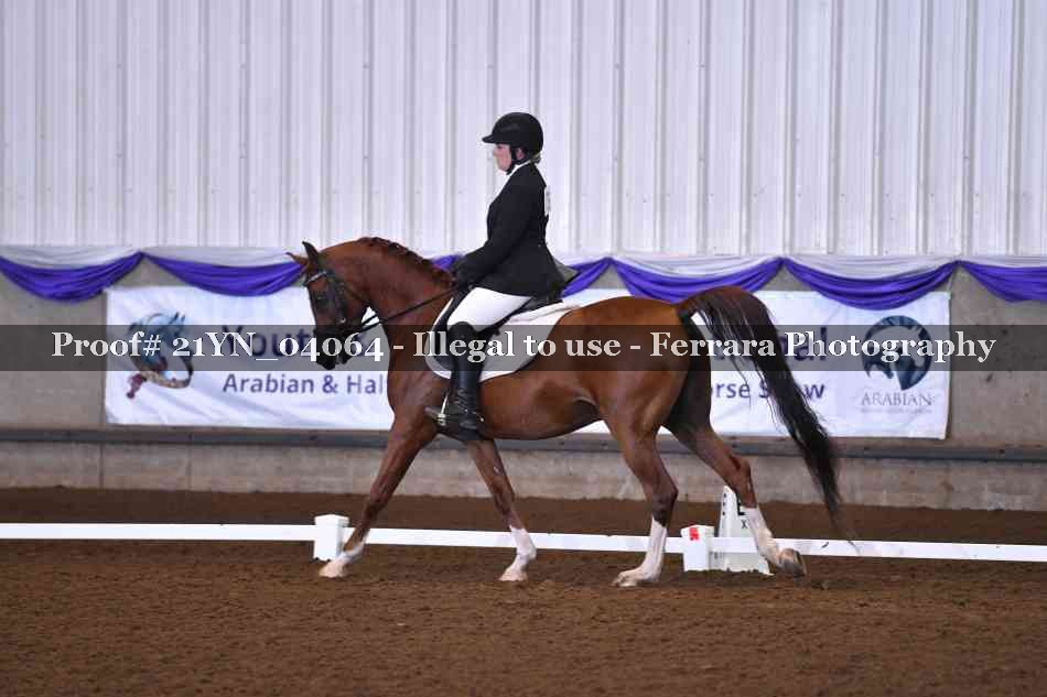 Proof Number 21YN_04064