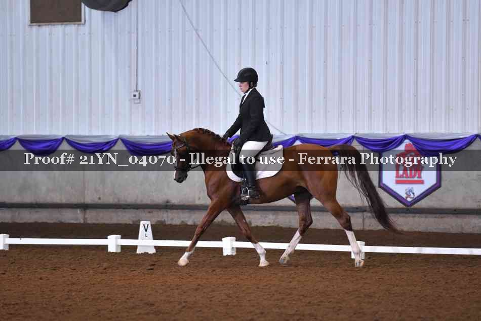 Proof Number 21YN_04070