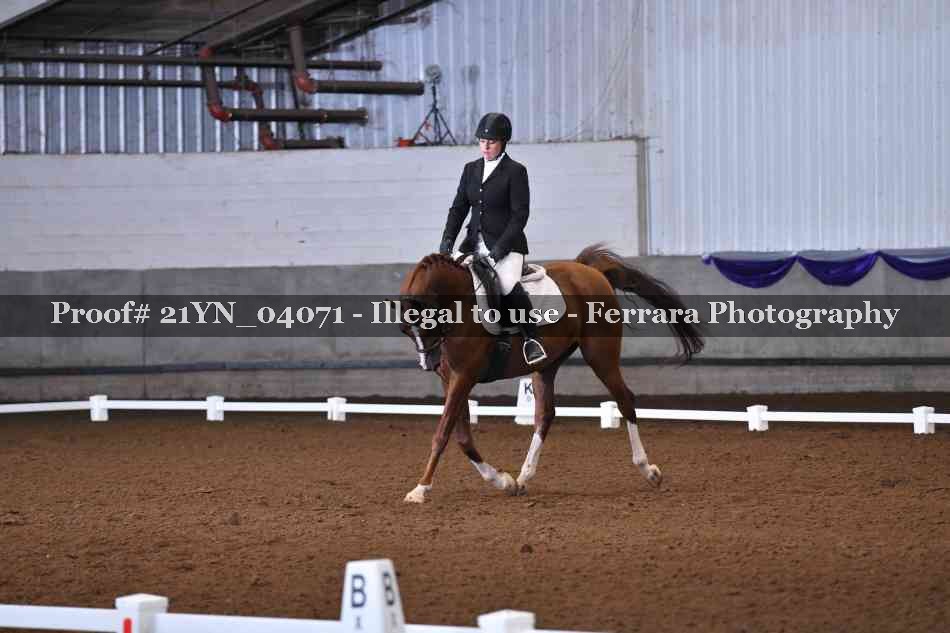 Proof Number 21YN_04071