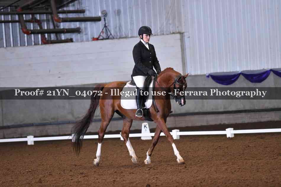 Proof Number 21YN_04072