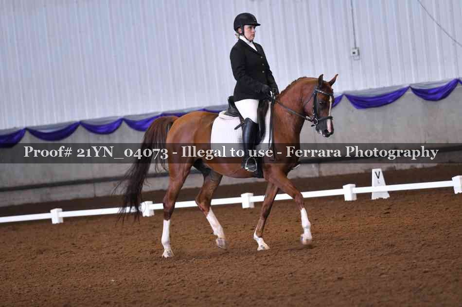 Proof Number 21YN_04073