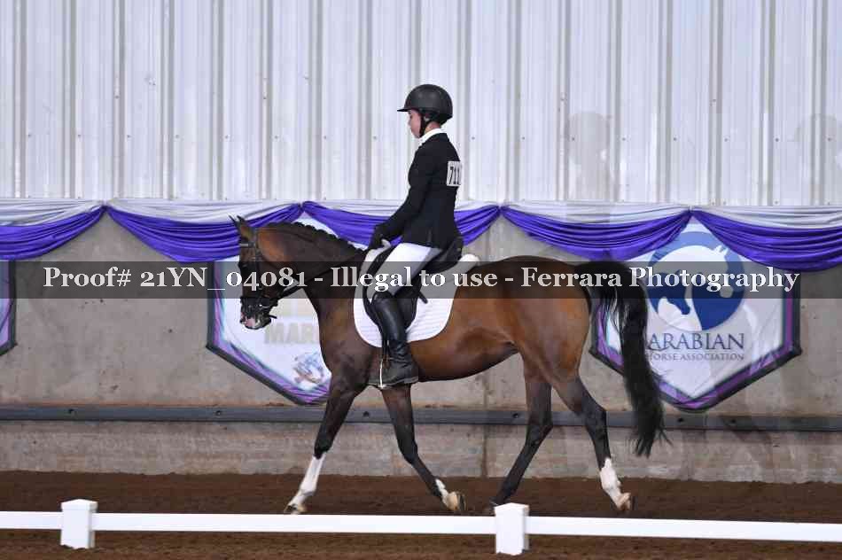 Proof Number 21YN_04081