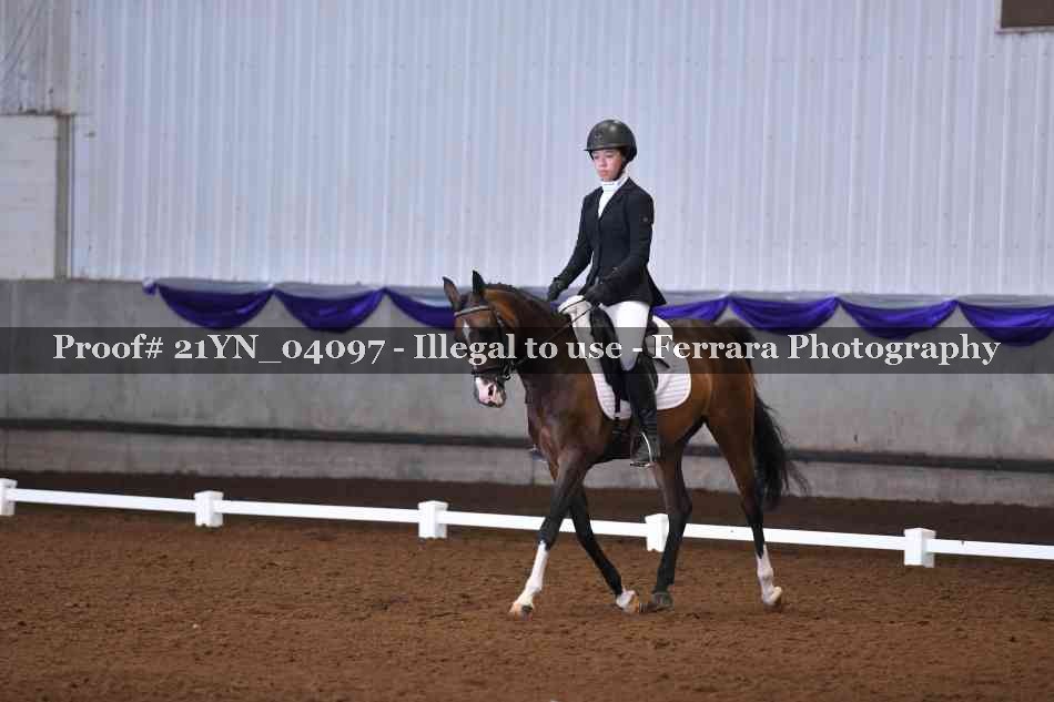 Proof Number 21YN_04097