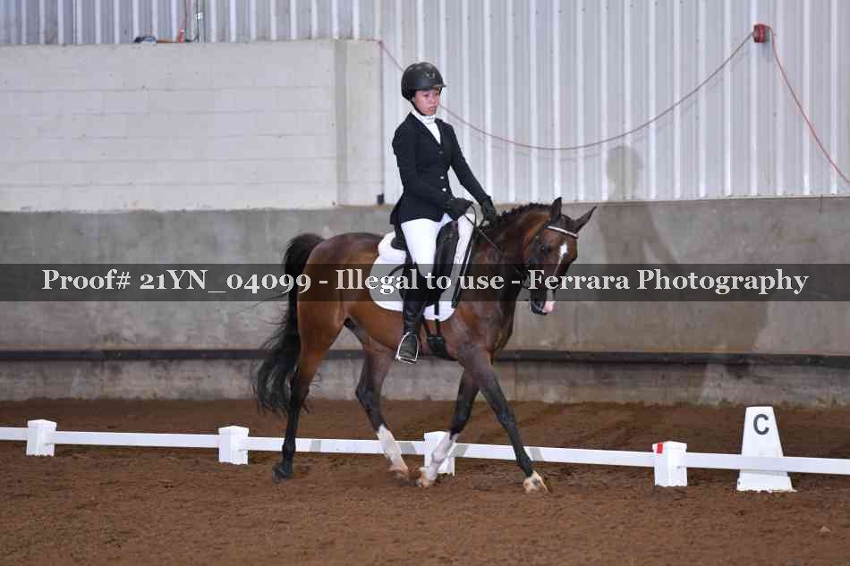 Proof Number 21YN_04099