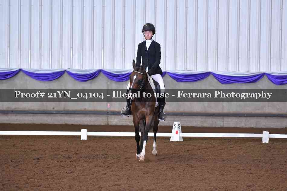 Proof Number 21YN_04104