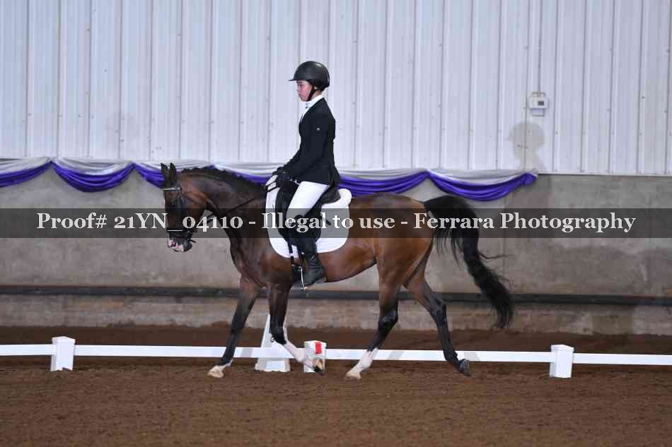 Proof Number 21YN_04110