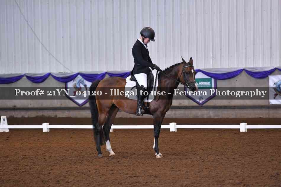 Proof Number 21YN_04120