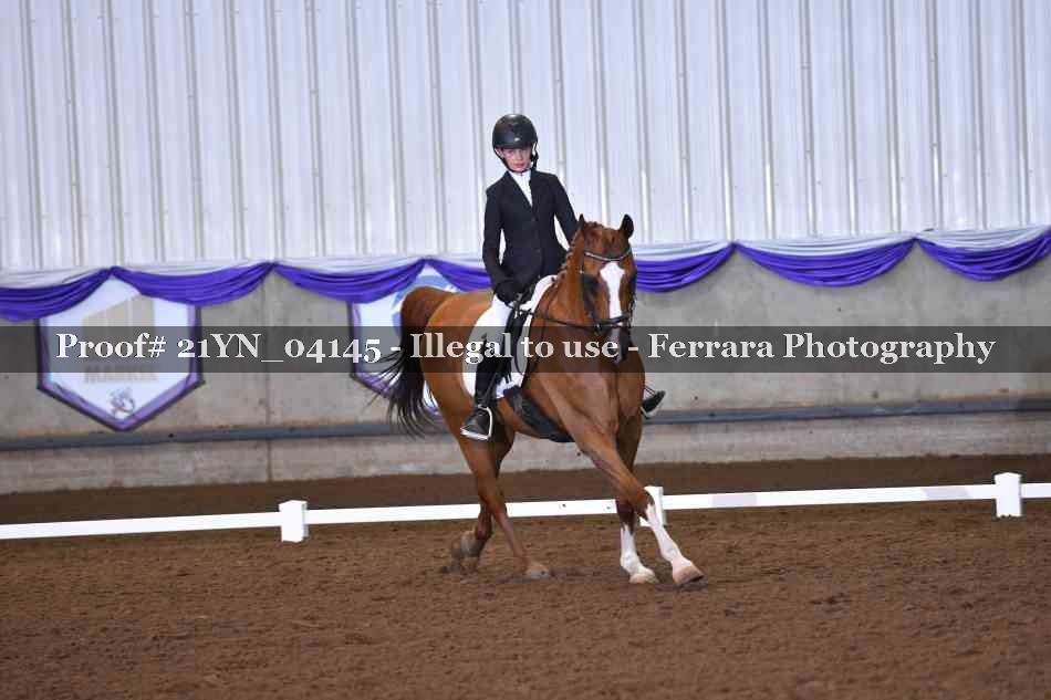 Proof Number 21YN_04145