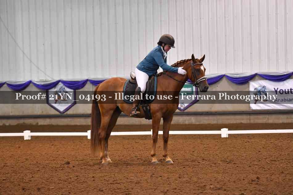 Proof Number 21YN_04193