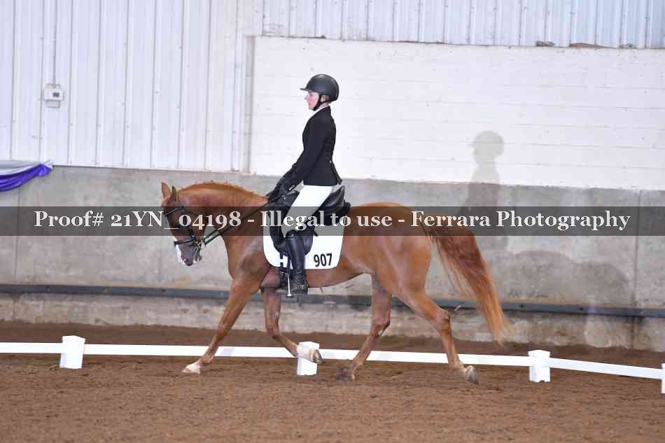 Proof Number 21YN_04198
