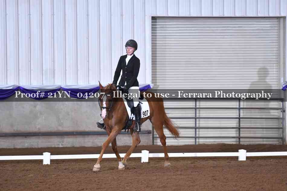 Proof Number 21YN_04207