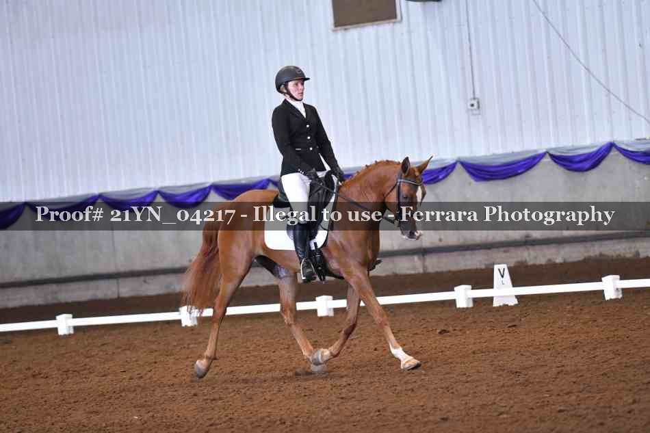 Proof Number 21YN_04217