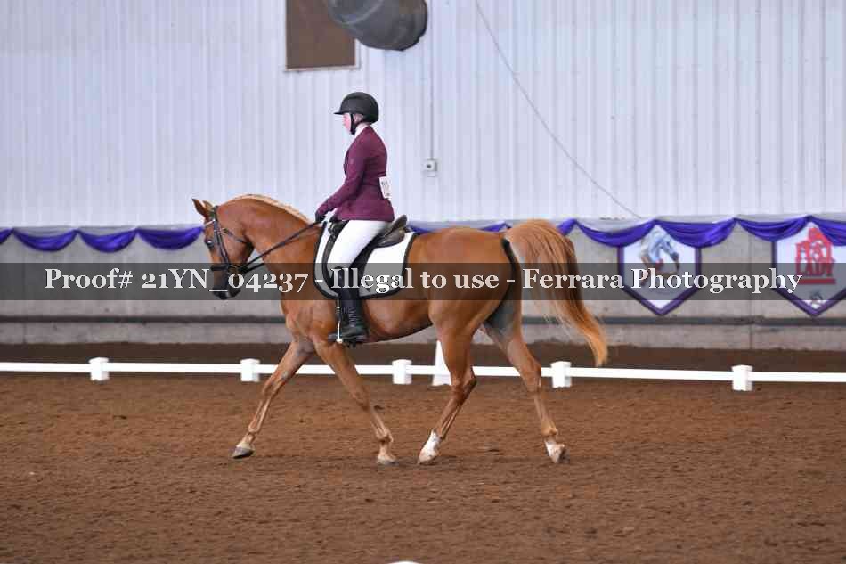 Proof Number 21YN_04237