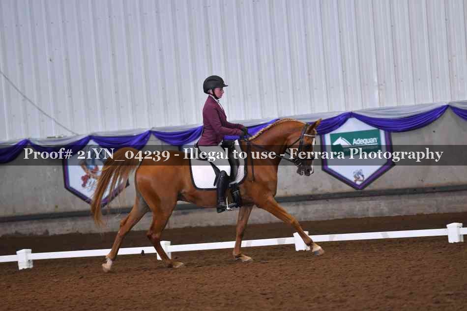 Proof Number 21YN_04239