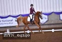 21YN_04240 thumbnail